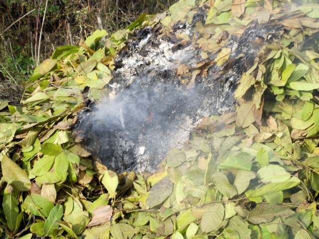 В Полтаве повсюду сжигают опавшие листья