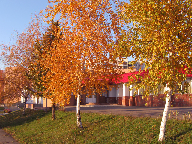 Золотая осень в Полтаве