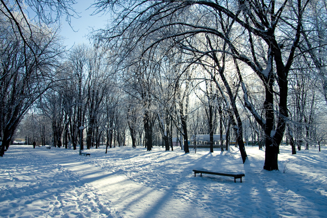 Зимова чарівність Полтави