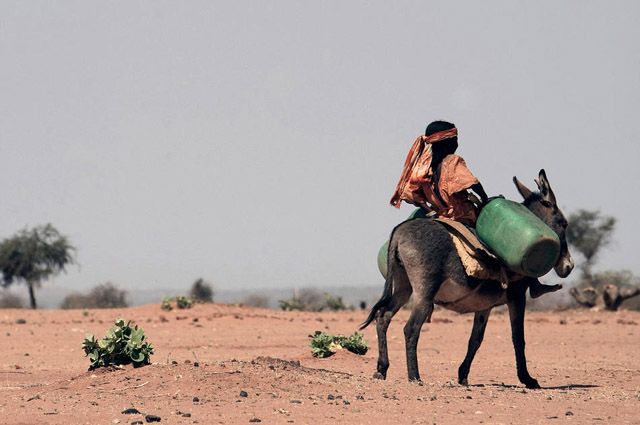 Западный Дарфур, 2008 г.