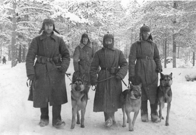 Советские военные собаководы отдельного батальона связи со связными собаками