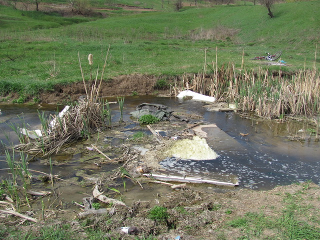 «Чистые» воды  ручья