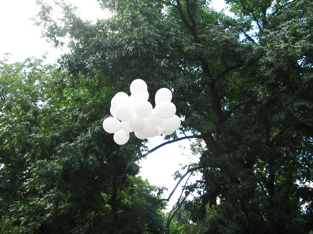 Белые шарики, как символ грудного вскармливания, запустили в небо, но они запутались в кроне дерева
