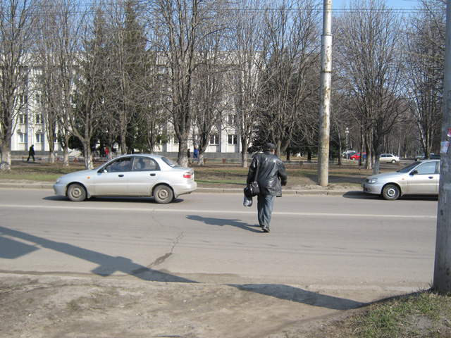Як полтавці переходять дорогу: справа і зліва поряд з зупинками є пішохідні переходи