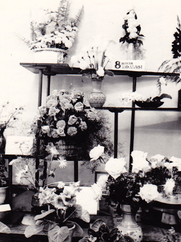 Выставка цветов, посвященная 800-летию. Дары кременчугских цветоводов. 11 июля 1974 года. Фотограф Куликов