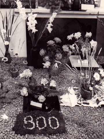Выставка цветов. Фрагмент. 11 июля 1974 года. Фотограф Куликов