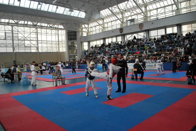 У Полтаві проходить турнір з тхеквондо «Olympic star»