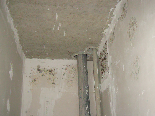 Цвіль у майбутньому туалеті однієї із квартир на Станіславського, 6а прибирали самі мешканці. Травень 2013 року.
