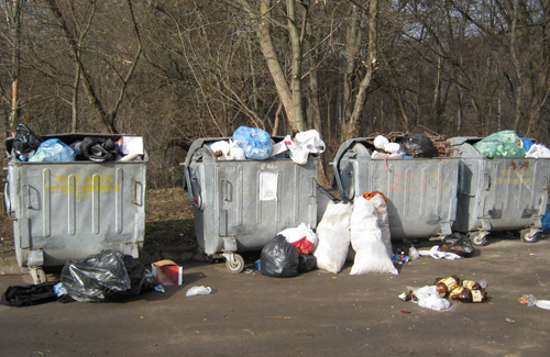 Полтавский дендропарк полтавчане превращают в свалку бытового мусора