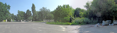 В Полтавском дендропарке образовалась мини-свалка