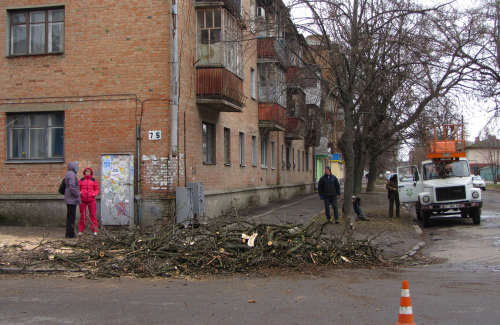 Робітники КП «Декоративні культури» ліквідовують аварійне дерево