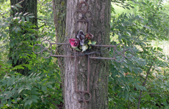Крест на дереве у места ДТП