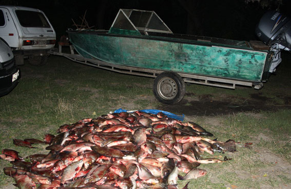 Рибна міліція оцінила збитки від улову 377 кілограм риби у 160 тисяч гривень