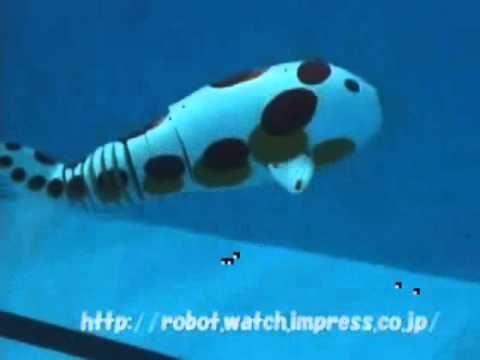 Японская рыба-робот (Карп Кои)