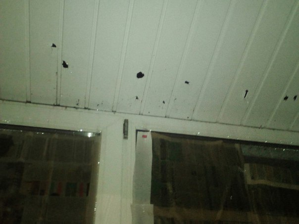 Пробитая пластиковая обшивка на балконе Ксении Калиберды
