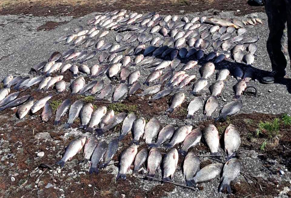 83 кг риби, вилученої на території Сулинської затоки 5 травня