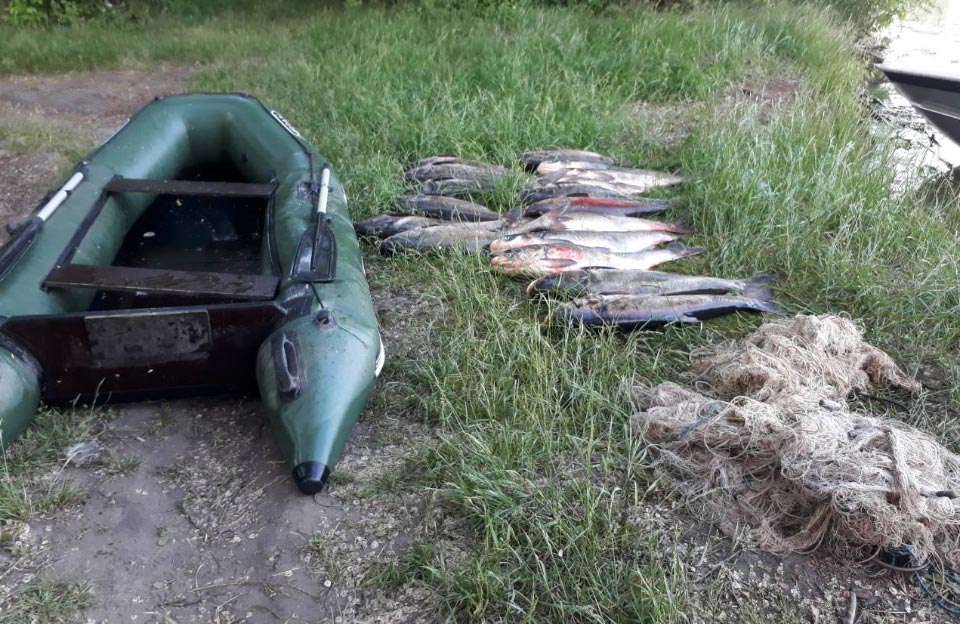 Патрульні вилучили рибу, човни та заборонені знаряддя лову