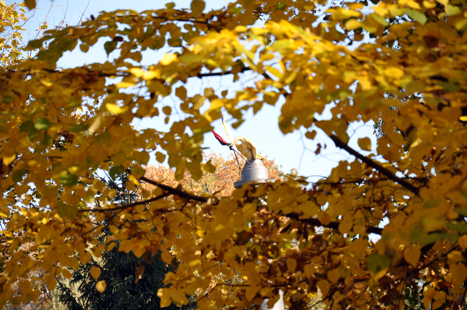 Орел пам'ятника Слави в обрамлені золотого листя