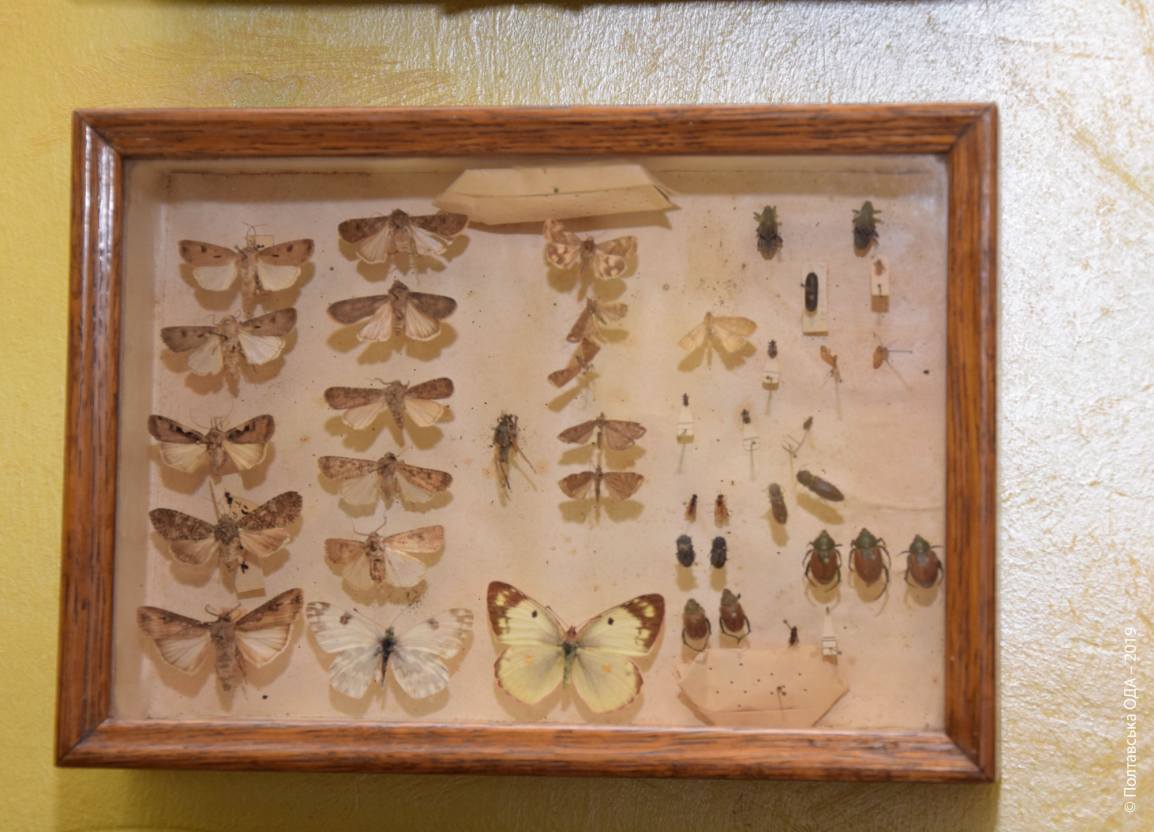 Колекція шкідників, яка налічує понад 30 тисяч комах