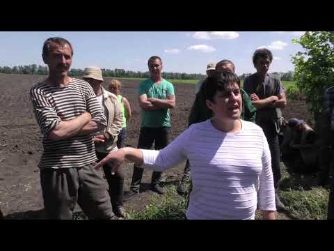 Конфлікт в селі Чернещина на господарстві «Залиман»