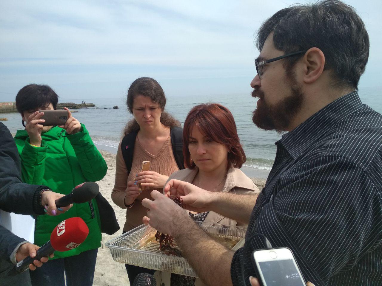 Дослідник моря Михайло Сон показує чорноморські водорості-дозорні