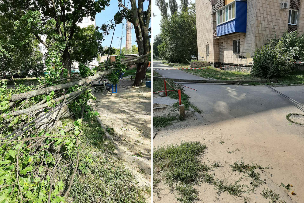 На вул. Курчатова гілка клена пошкодила лінію електропередач