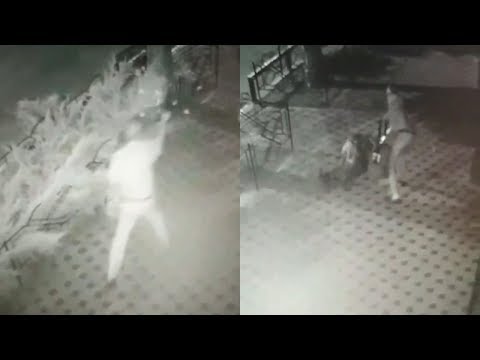 Напад на охоронця кафе «Ботанік» у Полтаві (2019.08.06)