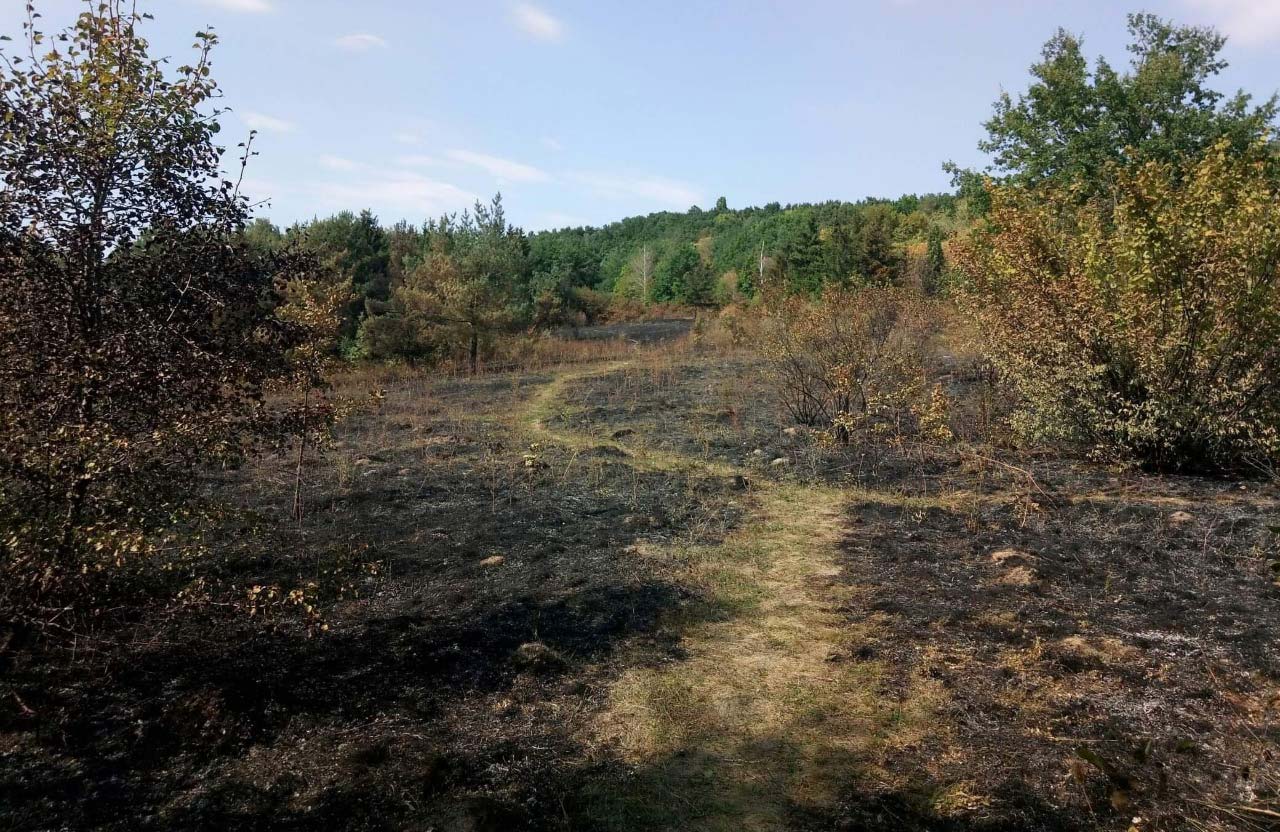 Наслідки пожежі у Полтавському міському парку — дендропарку