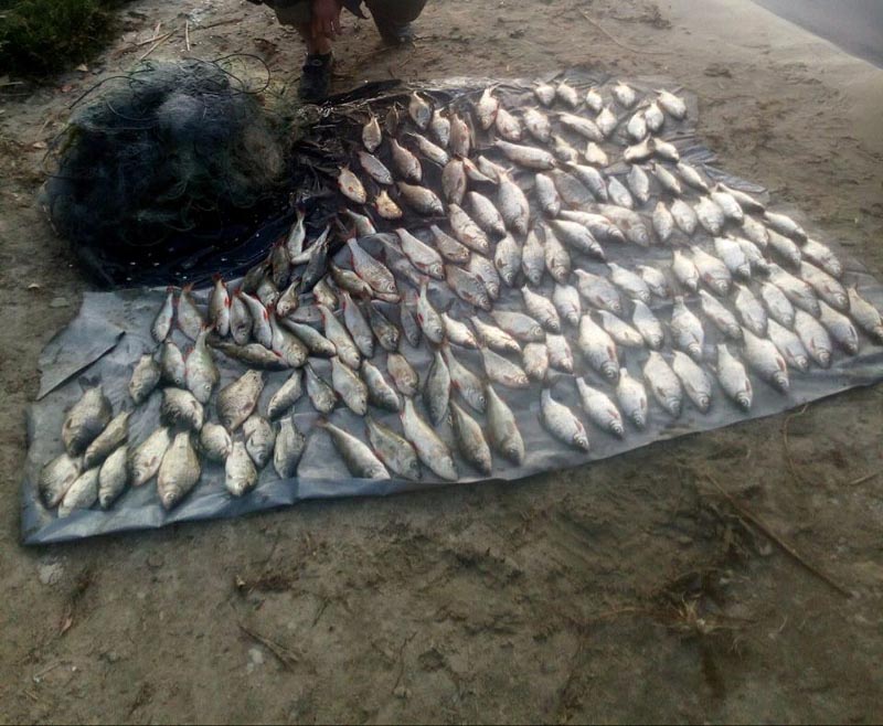 Конфісковані знаряддя лову та незаконно добута риба