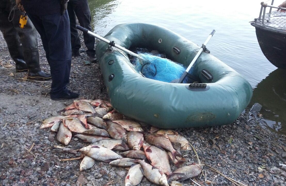 Викрили порушення правил рибальства