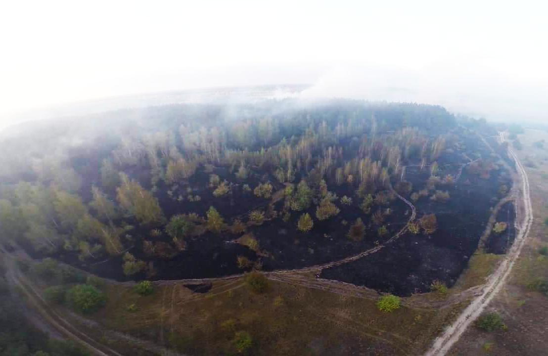 Згорілий ліс між селами Руденківка та Пудлівка