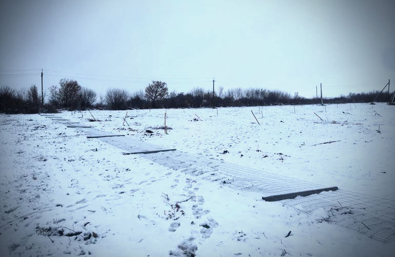 Знищений горіховий сад в селі Дудникове Полтавського району.