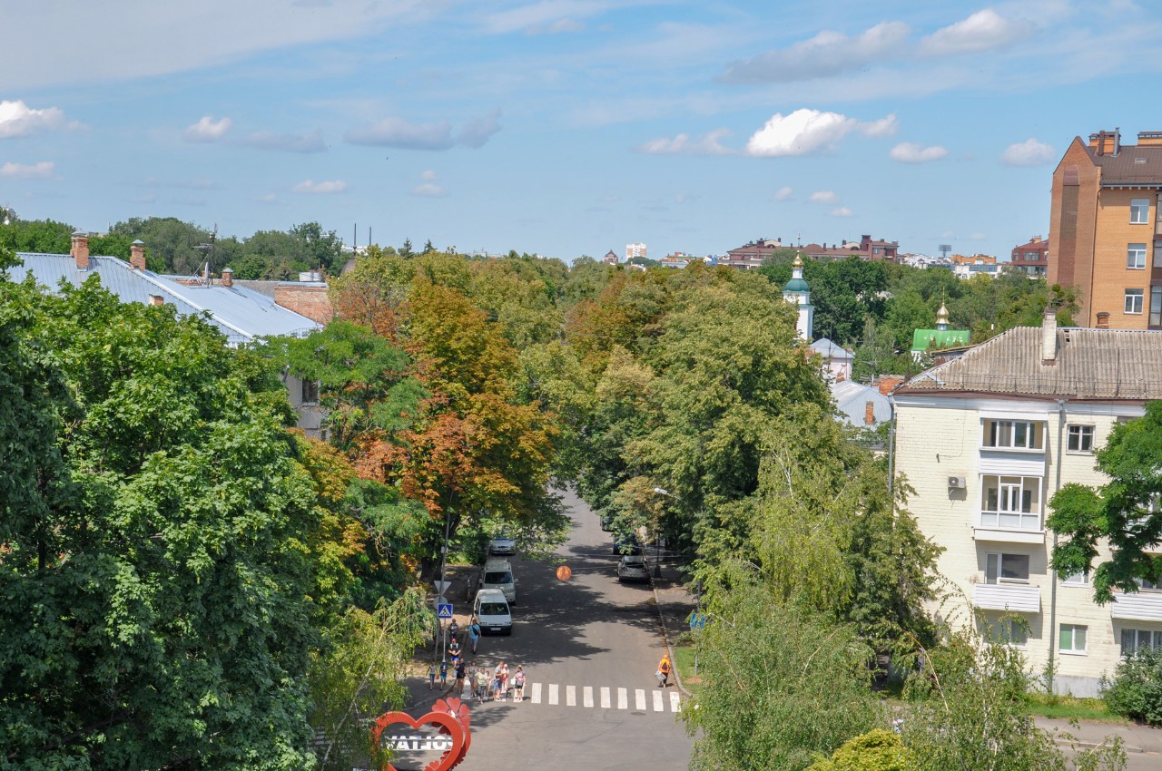 З вершини дзвіниці відкривається незвичний ракурс на вулицю Соборності. Восени, коли листочки дерев опадають, можна побачити монумент Слави.