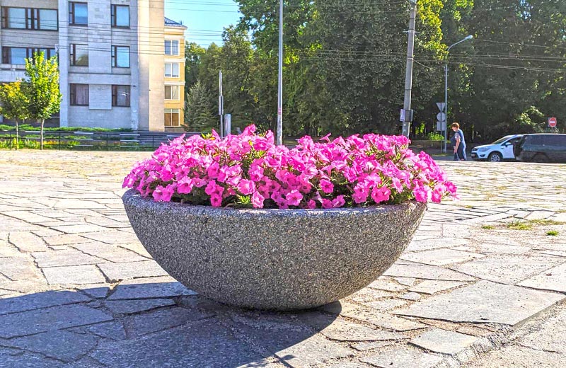 Квітковий вазон «Олімп» у сквері ім. пам’яті Героїв України