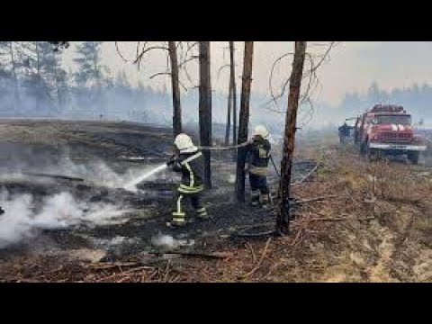 Про масштабну пожежу на Луганщині