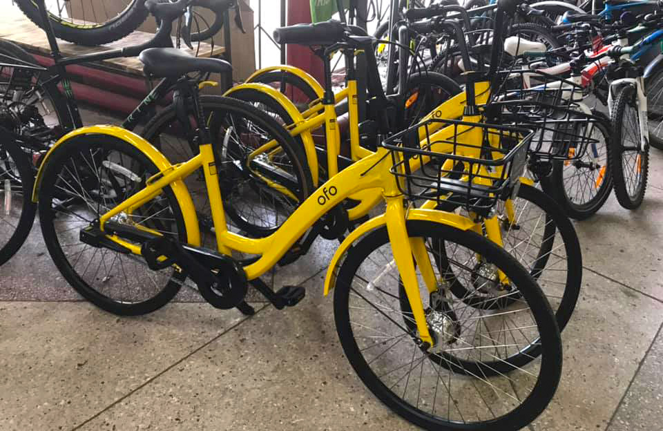 Полтавська міська рада безкоштовно отримала 12 велосипедів Ofo