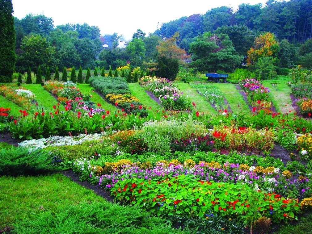 Національний ботанічний сад