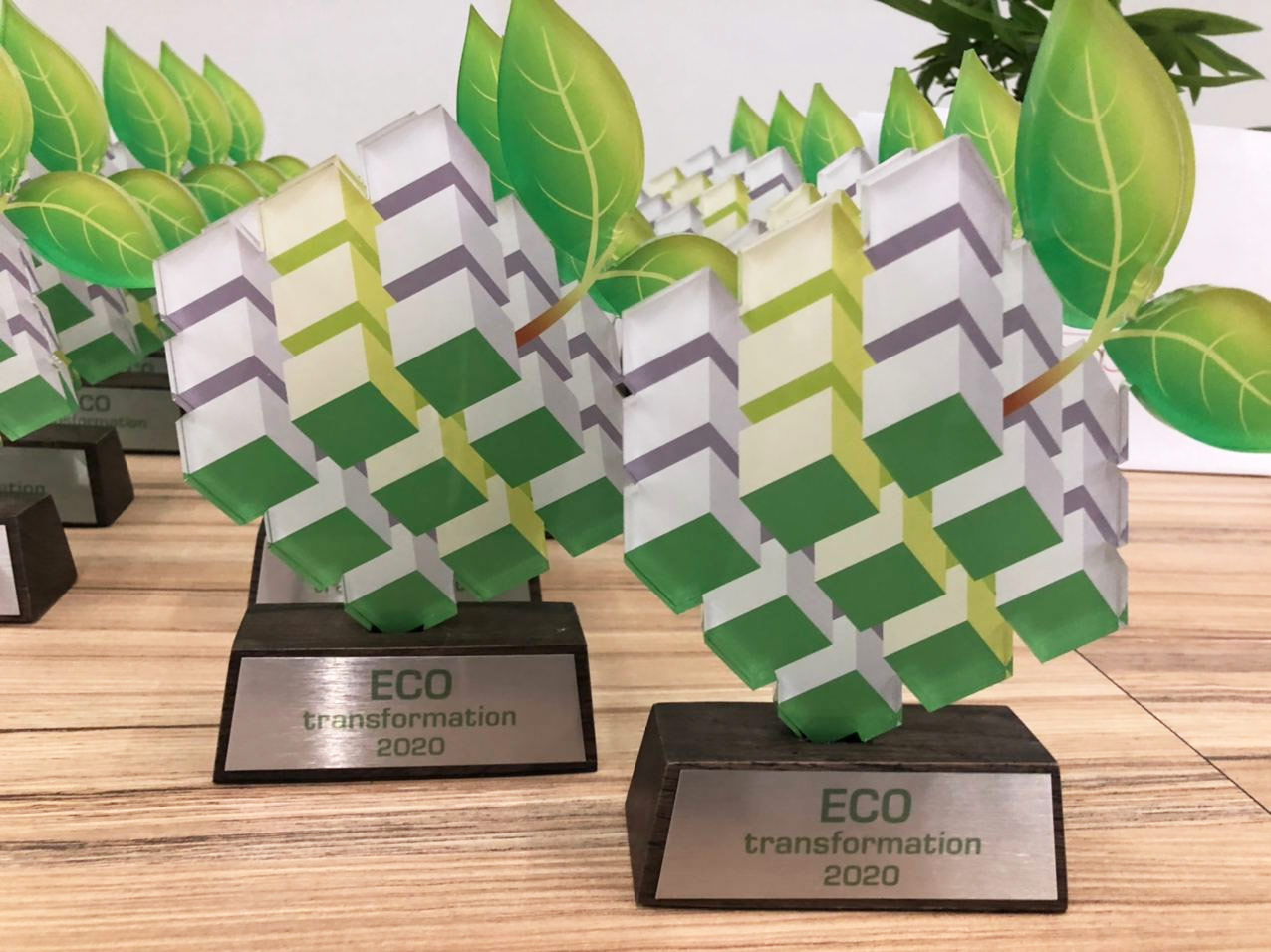 2020 року група ДТЕК отримала нагороду «Екотрансформація» за системну й послідовну природоохоронну діяльність