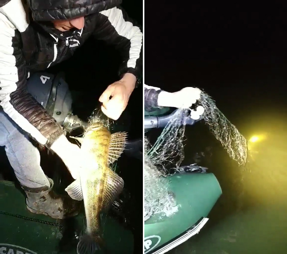 Члени громадського патруля рятують рибу з браконьєрських сіток