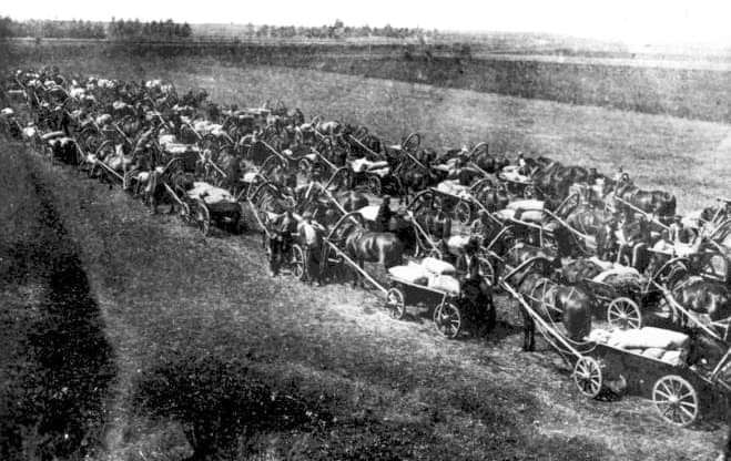 Обоз із відібраним зерном, яке зібрали в господарствах Гадяцького району, 1930-й рік. Фото «Краєзнавчі сторінки Полтавщини