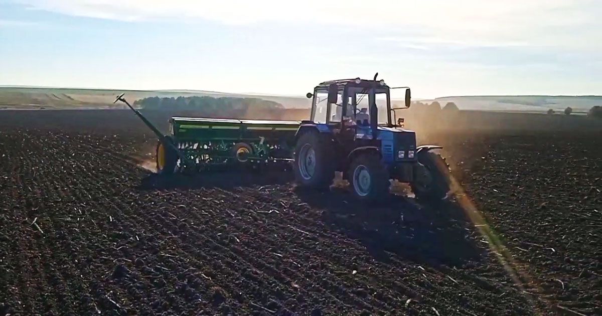 На Полтавщині завершено посів озимих культур урожаю 2023 року / Полтавщина