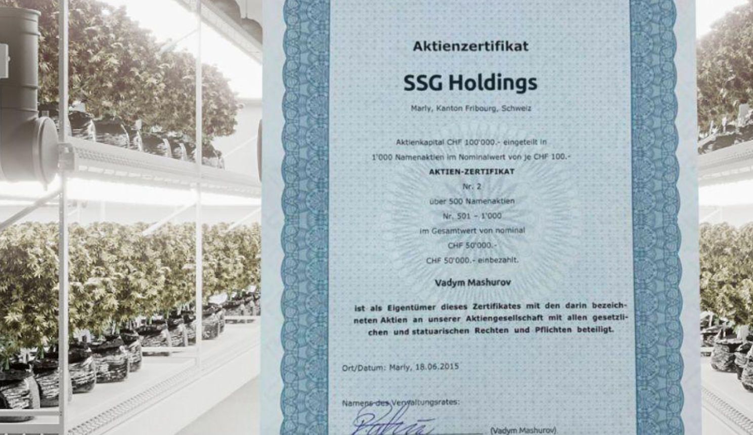 SSG Holdings, Vadym Mashurov