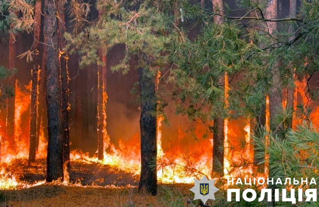 Через лісову пожежу у Новосанжарській громаді продовжили евакуацію людей: вогонь поширився до річки Ворскла