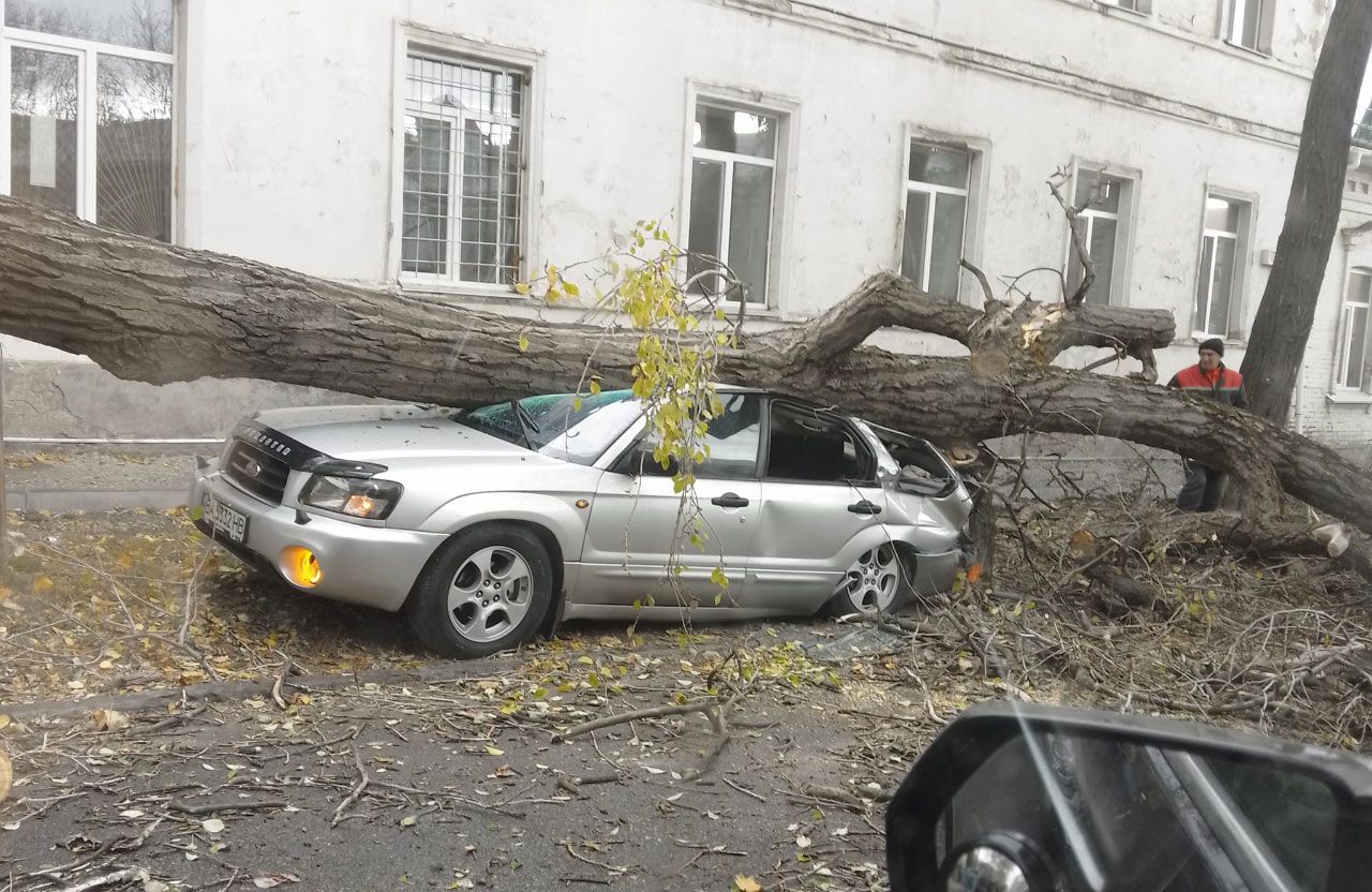 Фото: Юрій Кривошеєв