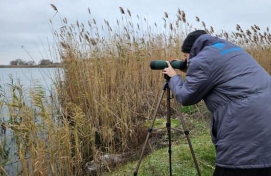 Орнітологічні дослідження в польових умовах