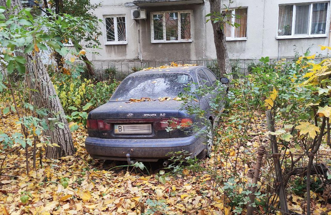 Фото: Тралік на Огнівку