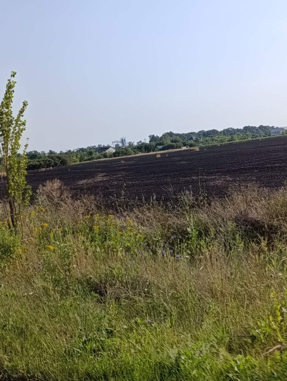 В Абазівці горить велике пшеничне поле: очевидці підозрюють підпал