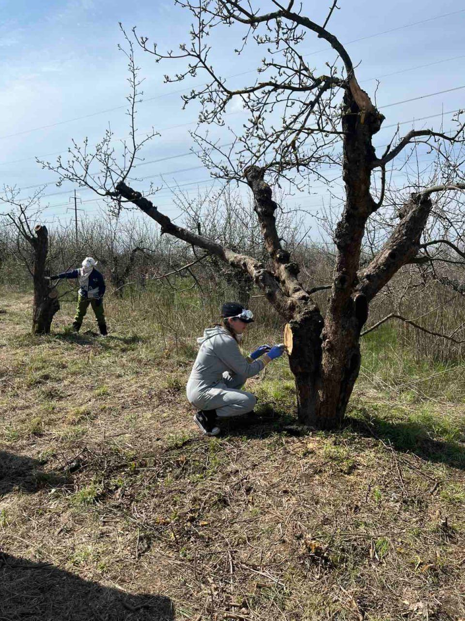 «Полтавський центр професійно-технічної освіти державної служби зайнятості»: стипендії слухачам мала виплатити грантова організація, а не ми