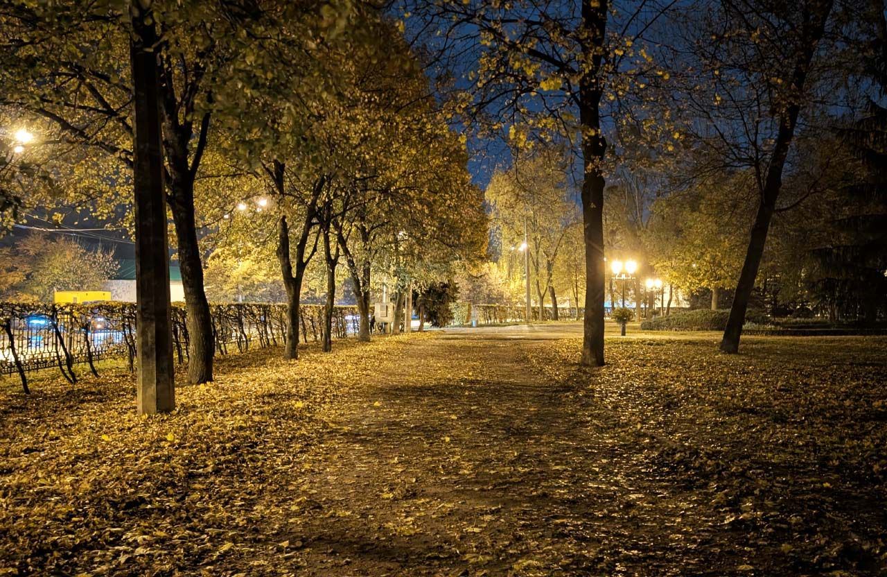 Внутрішнє коло Корпусного парку