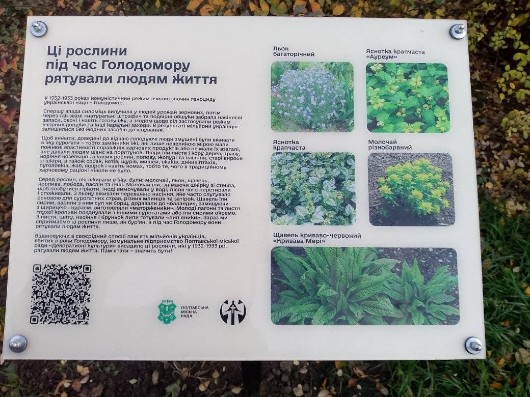 У Полтаві біля знаку жертвам Голодомору висадили рослини, які рятували життя під час геноциду й встановили інформтаблицю